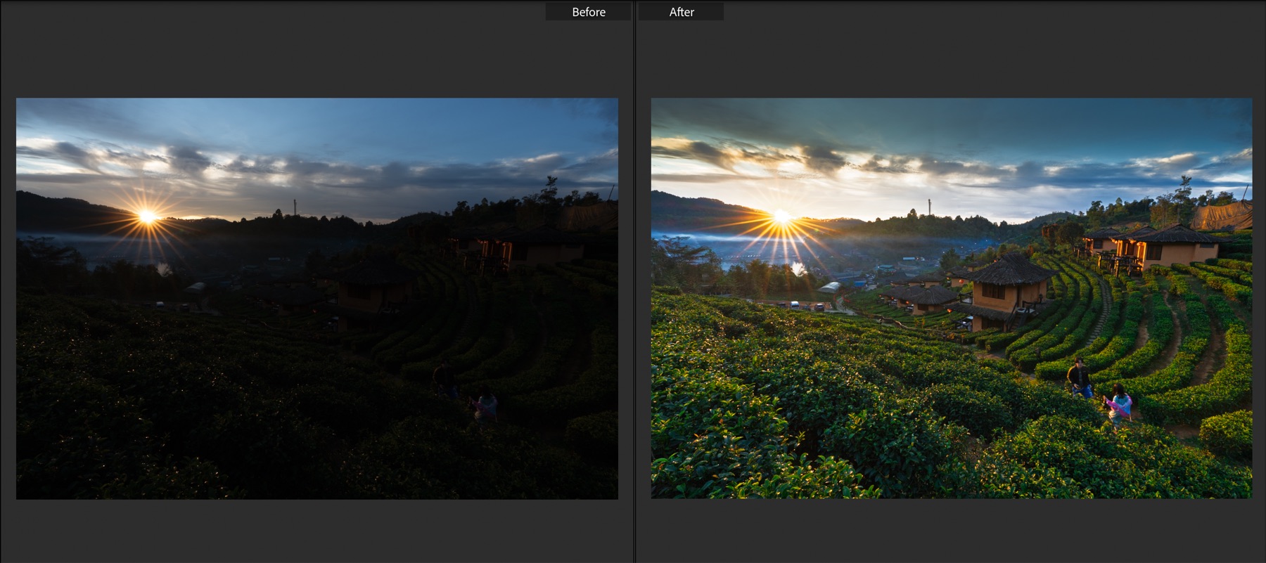 เปรียบเทียบ Before/After ภาพไร่ชายามเช้า After ดึงแสงในเงาขึ้นและเติมสีอย่างพอดี ใบชายังไล่โทนตามทิศทางแสง
