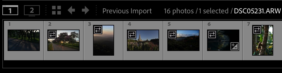 Filmstrip แถบรูปย่อด้านล่างของ Lightroom สำหรับสลับดูภาพเร็วๆ