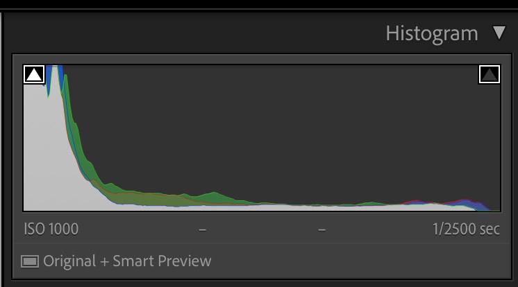 แผง Histogram ใน Lightroom แสดงกราฟการกระจายของ Tone และค่า ISO, Shutter Speed ของภาพ